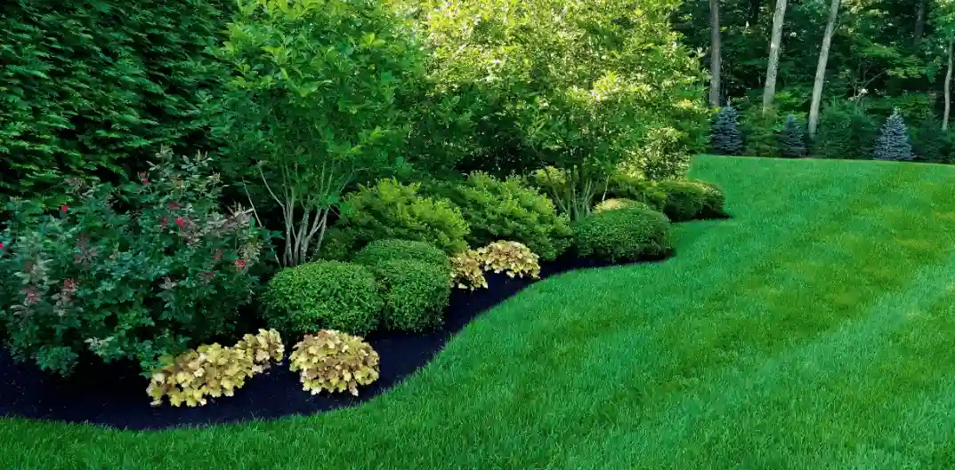 robots cortacésped para jardines de 2000 m2